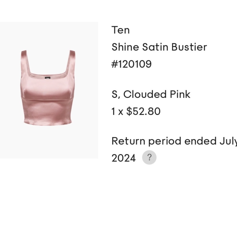 Aritzia TEN satin bustier top